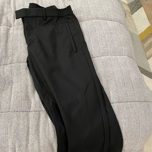Theory Rain Pants